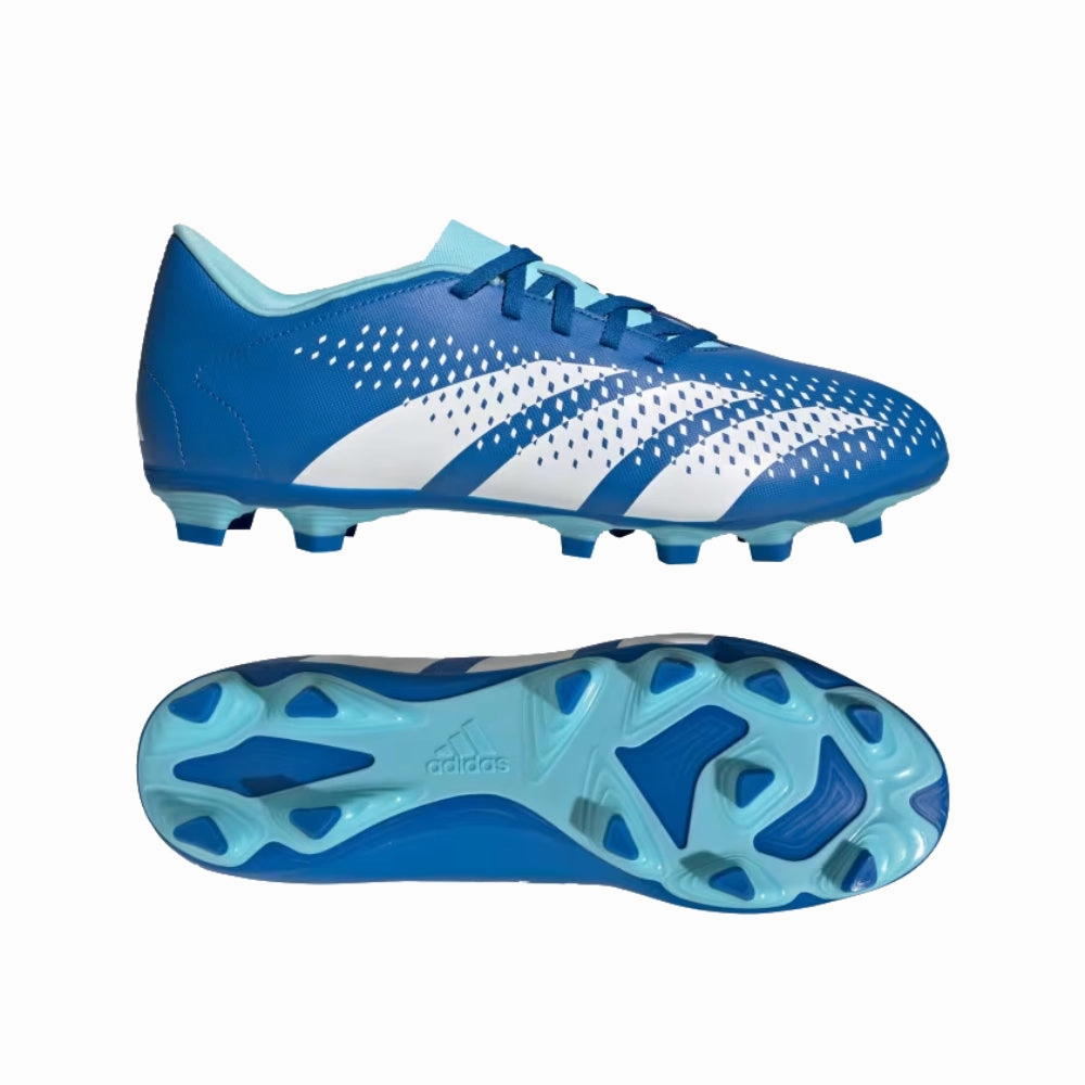 Best Adidas Running Shoes Adidas Men's Predator Accuracy.4 Flexible Ground Football Shoe (Bright Royal/Cloud White/Bliss Blue)