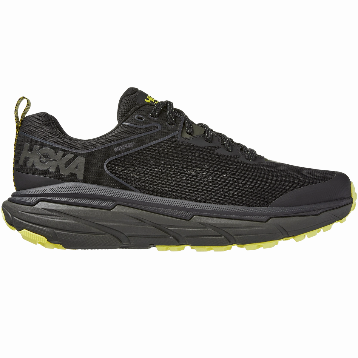 Lightest Trail Shoes Men's Challenger ATR 6 GTX