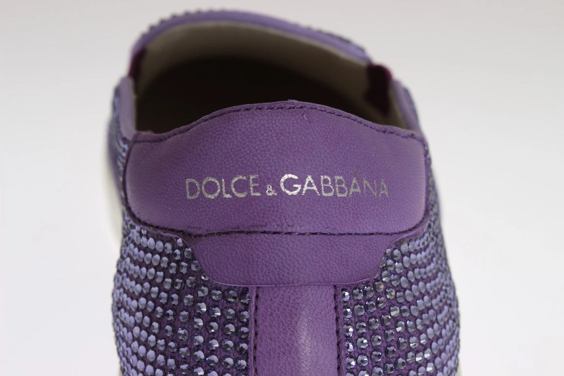 Sneakers Starter Dolce & Gabbana Purple Strass Canvas Logo Sneakers