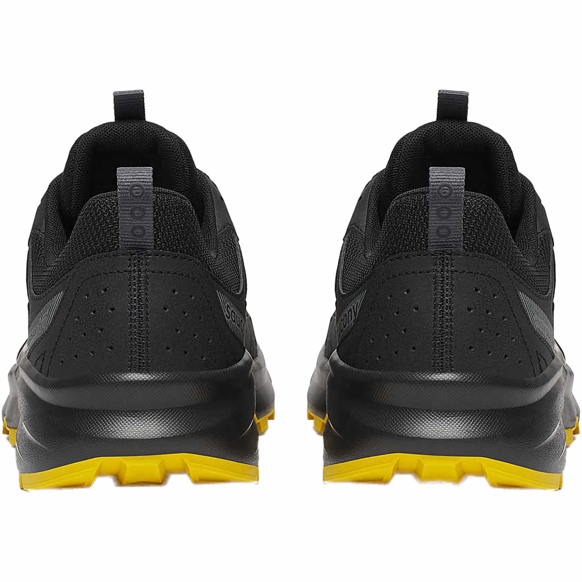 Men's Excursion TR17 GTX Top 3 Trail Running Shoes