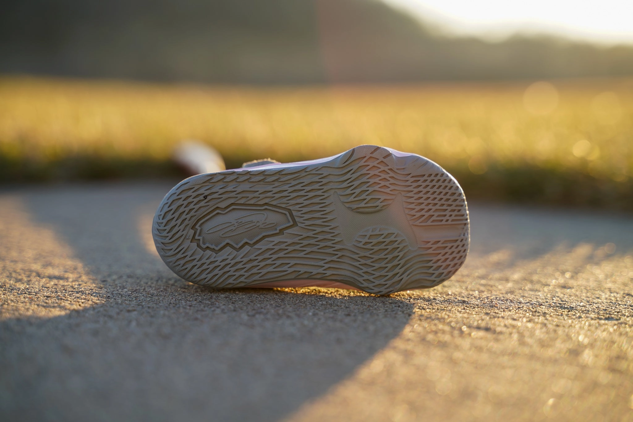 Best Asics Gym Training Shoes LeBron 17 [SOUTH BEACH] Standing Sneaker Putter Cover