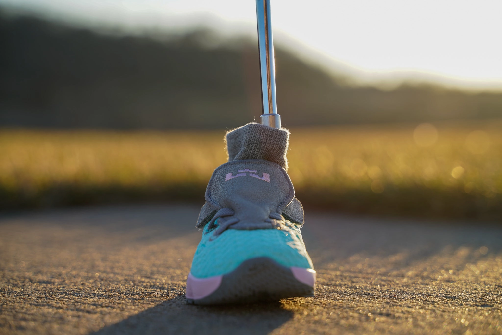 LeBron 17 [SOUTH BEACH] Standing Sneaker Putter Cover Asics Shoes In Store Near Me