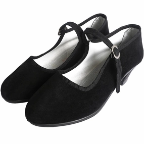 Low Heel Dance Pumps for Women  Comfortable & Versatile for Ballet, Latin & Ballroom Sneakers Barre