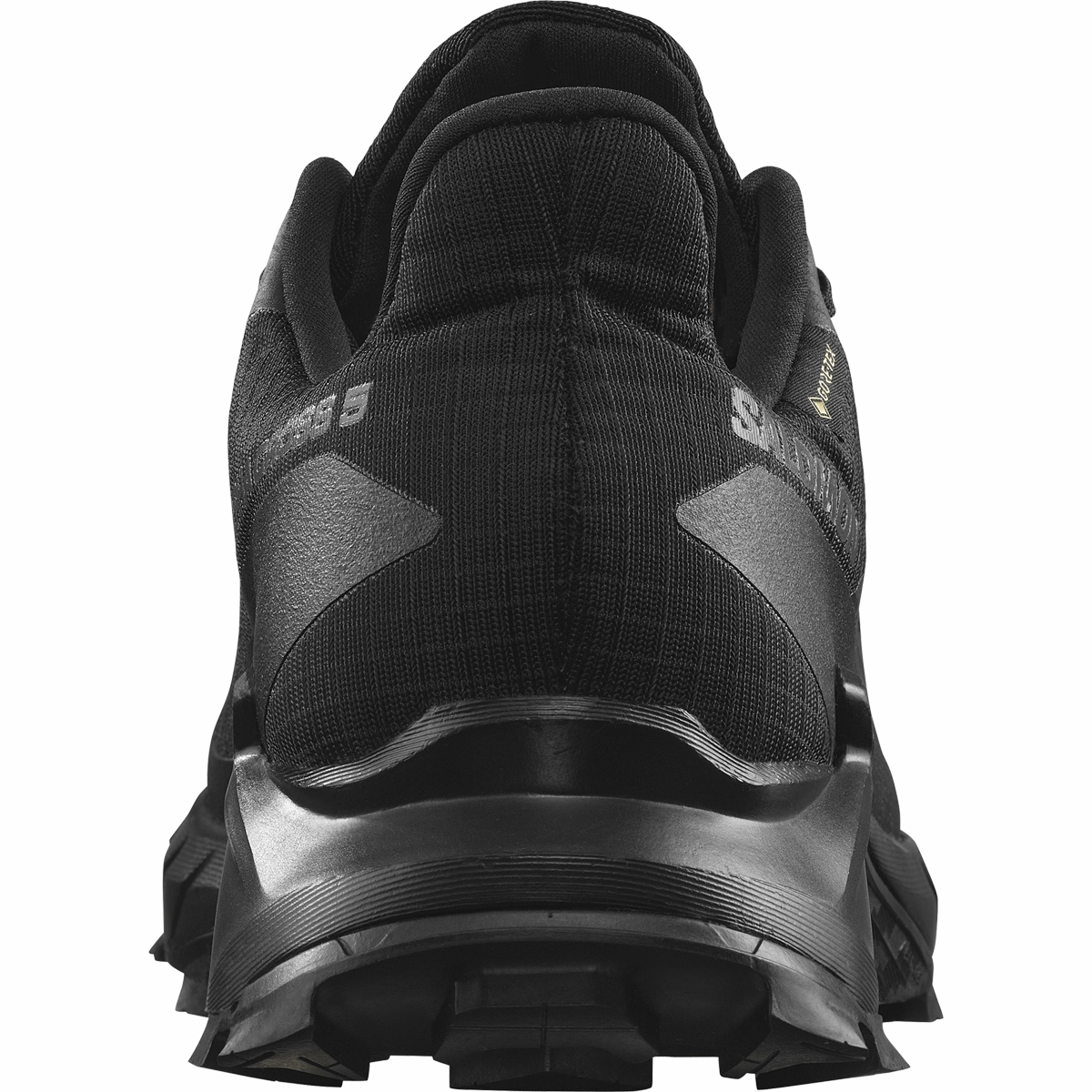 Men's Alphacross 5 GORE-TEX Trail Running Shoes Vs Approach Shoes