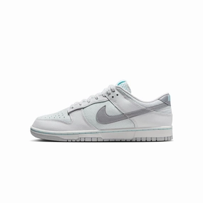 Nike Mens Dunk Low "Winter Storm" Shoes Asics City Shoes