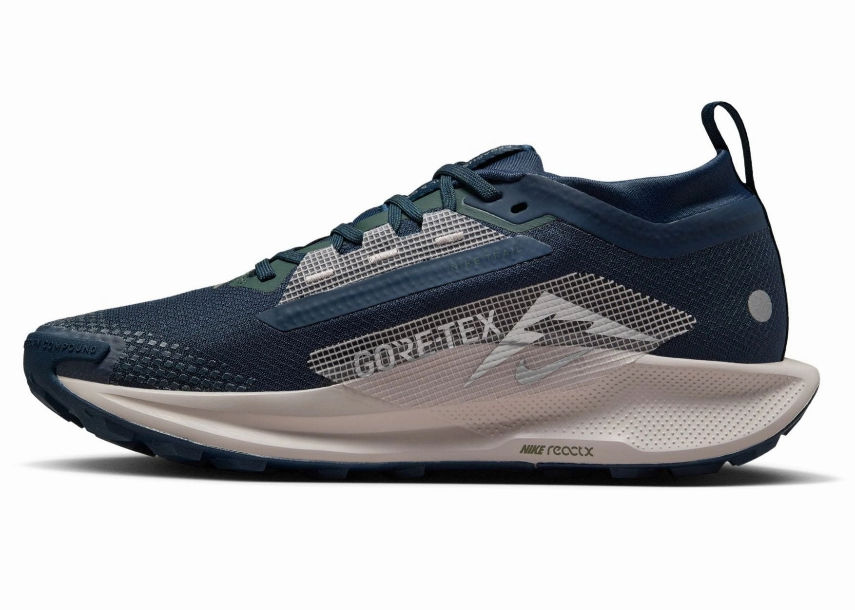 Nike Women's Pegasus Trail 5 Gore-Tex Asics Water Shoes