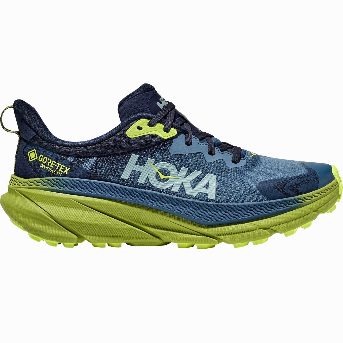 Men's Challenger ATR 7 GTX Juniper Shoes