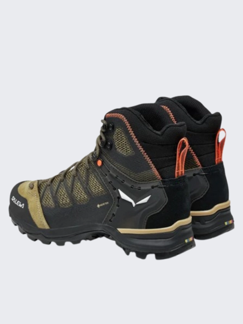 Ice Climbing Shoes Salewa Mountain Trainer Lite Women Hiking Shoes Quicksand/Black